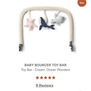 New baby toy bar for Evolve  bouncer